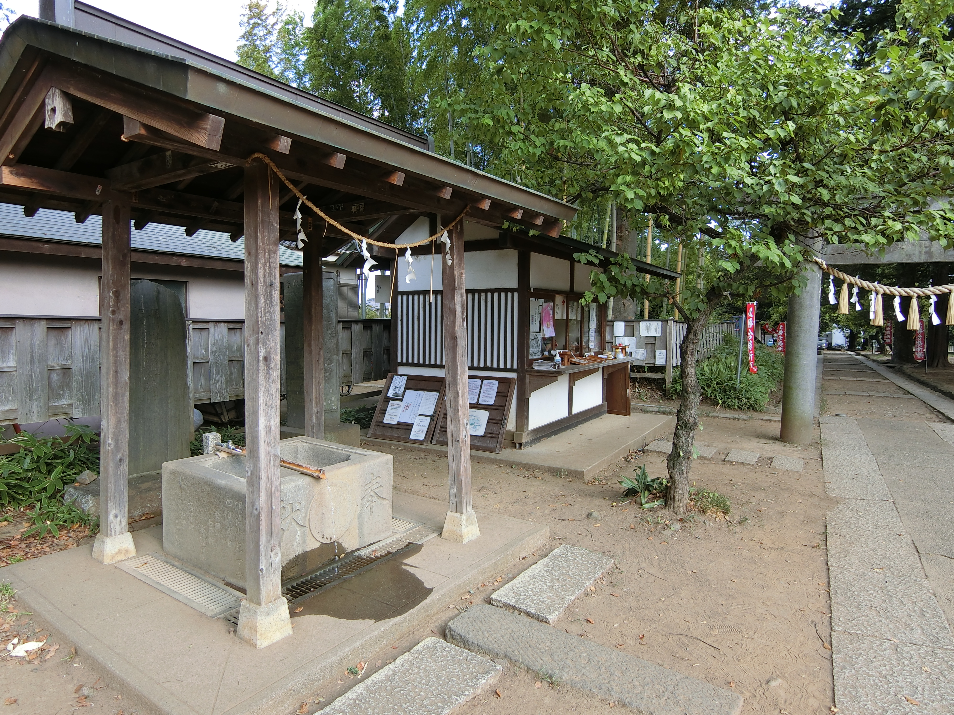 写真