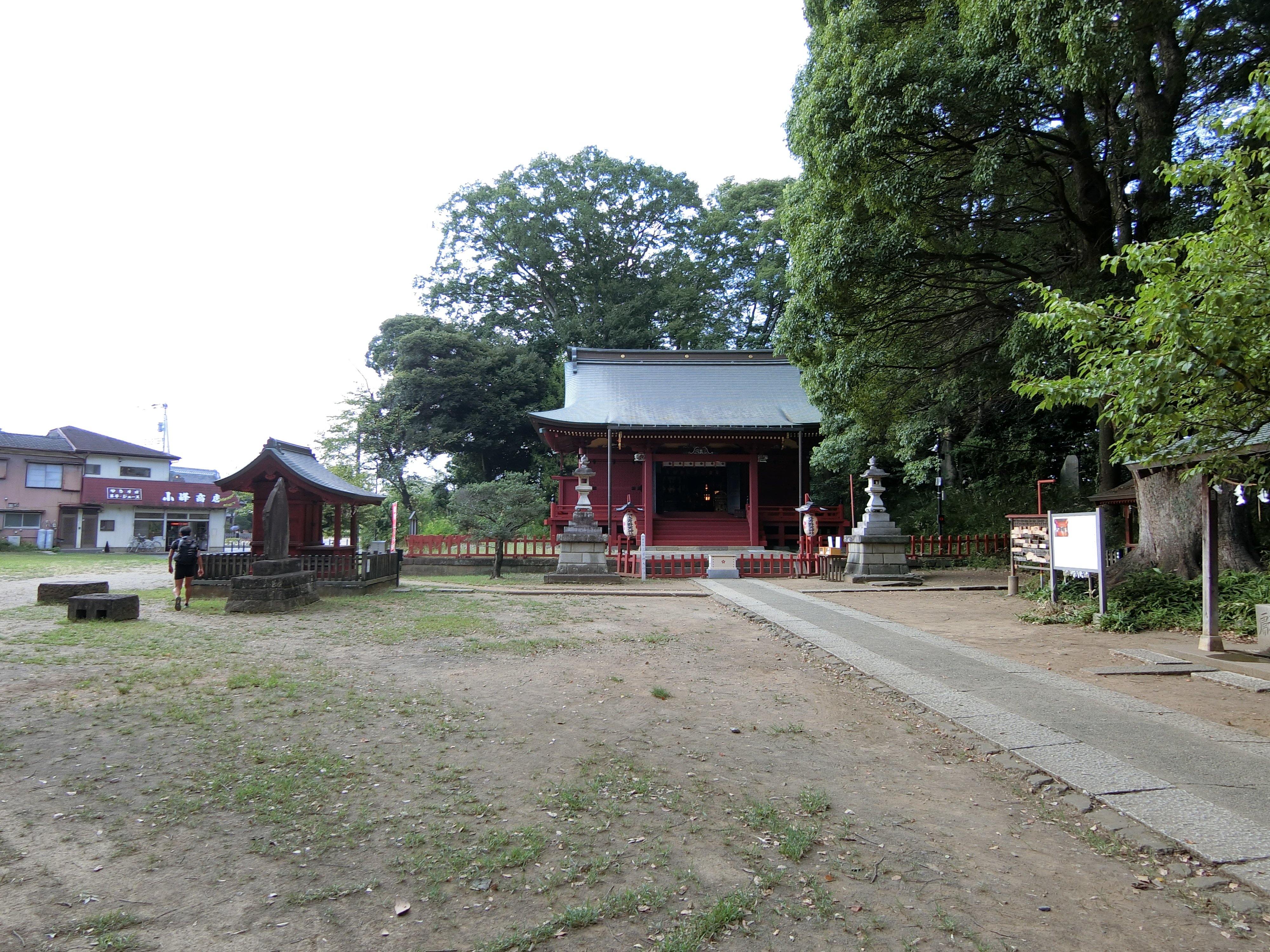 写真