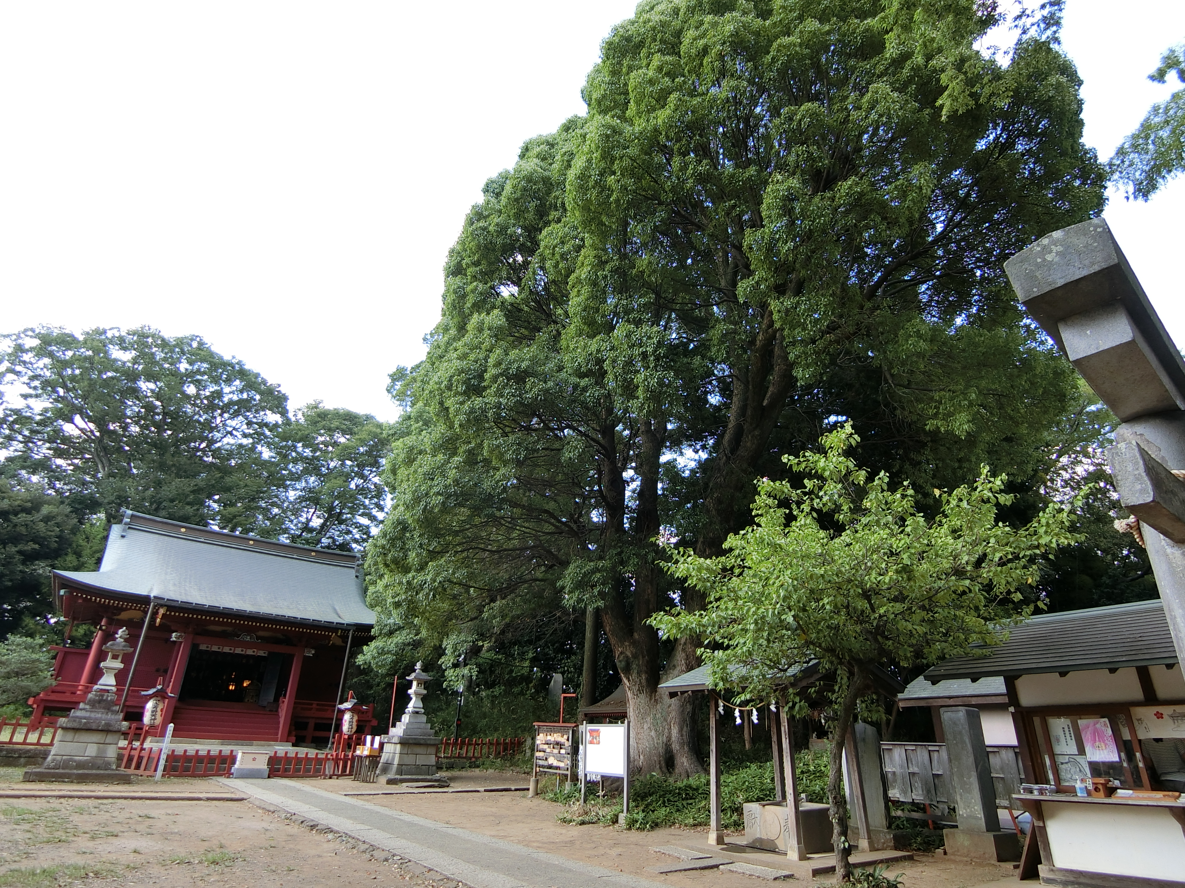 写真