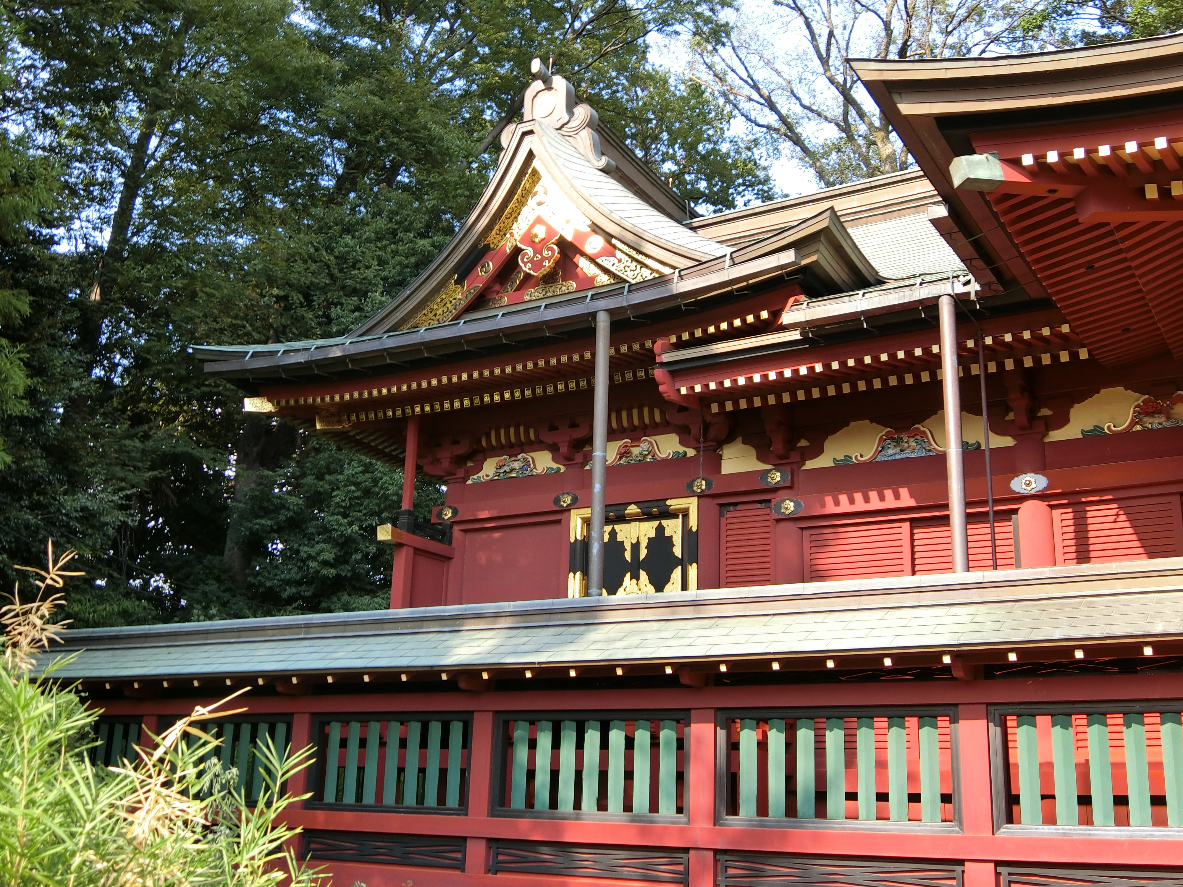 写真