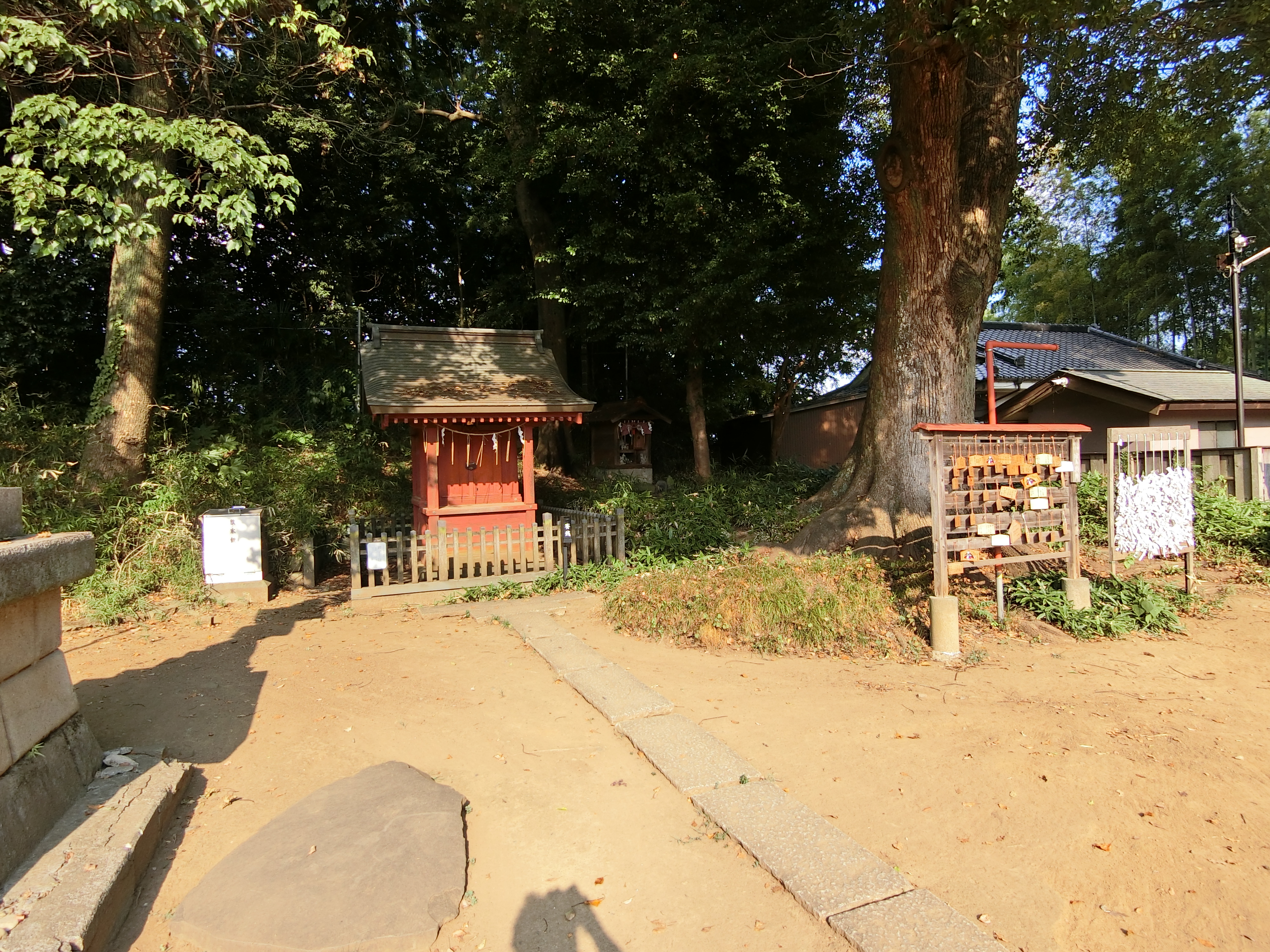 写真