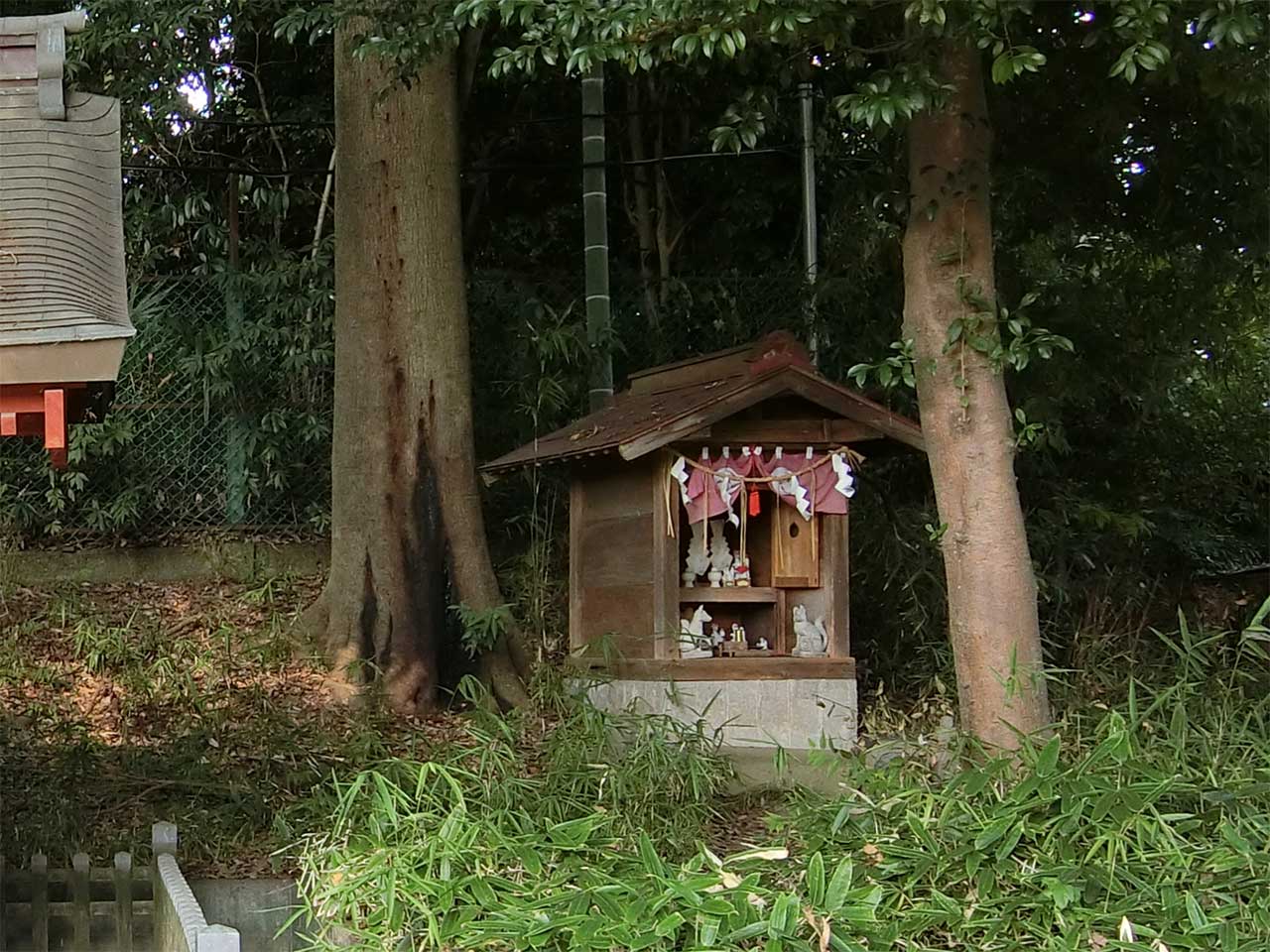 写真