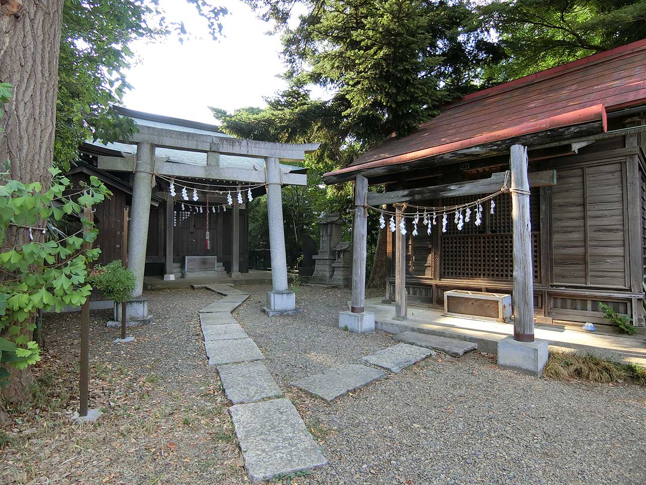 写真