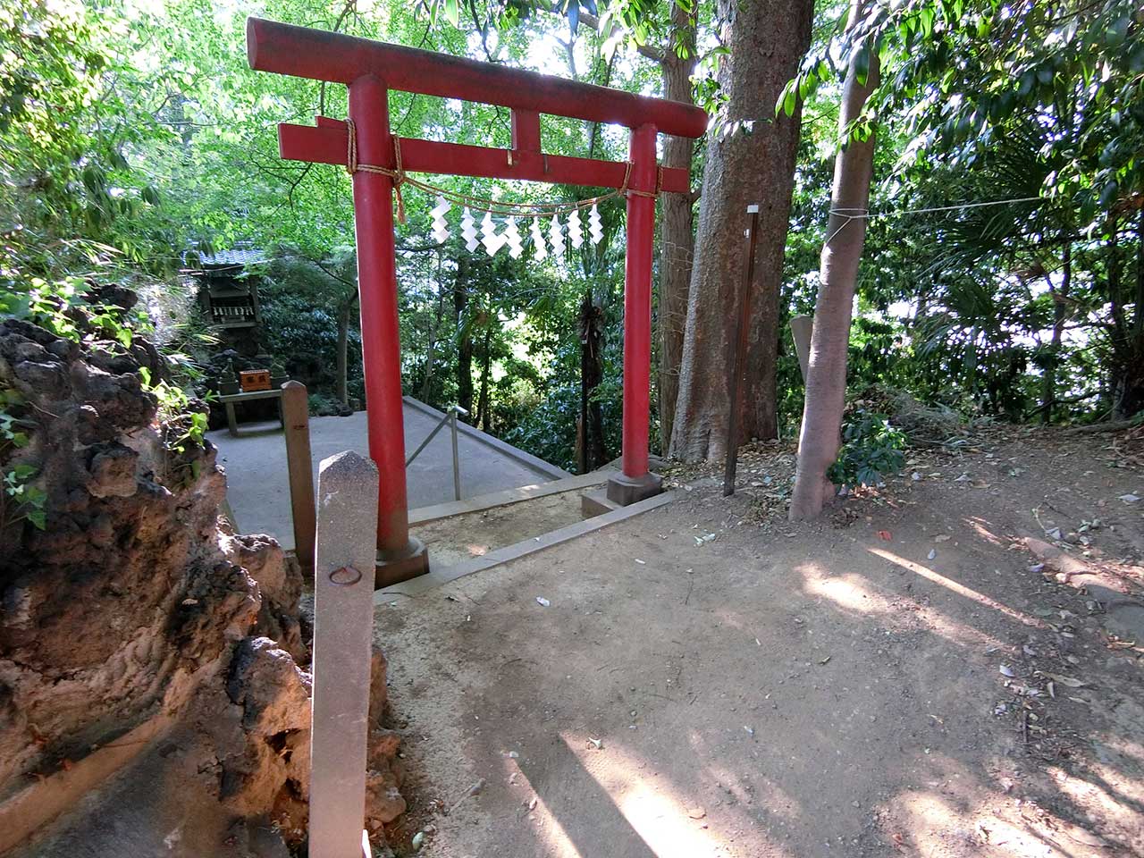 写真