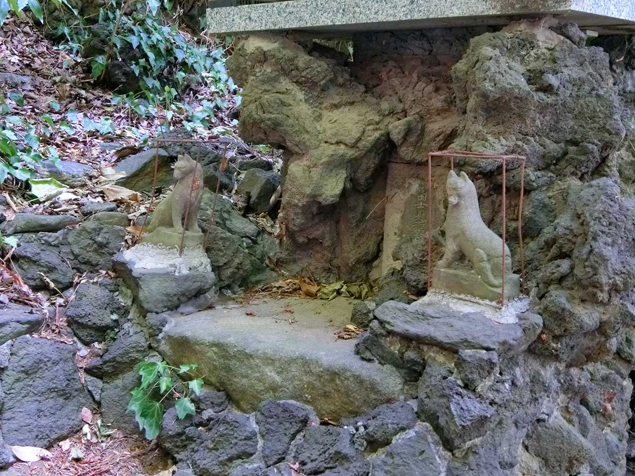 写真