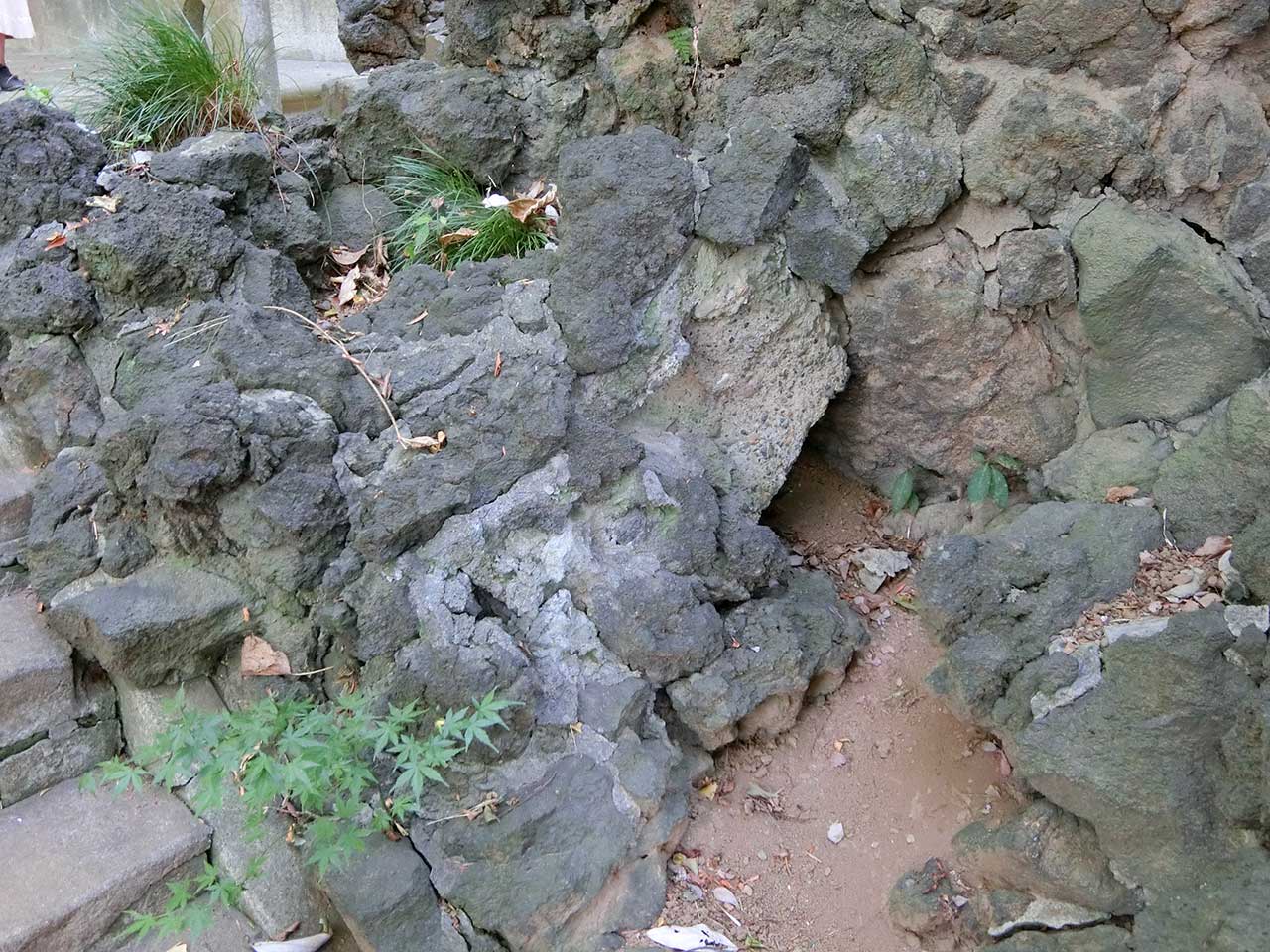 写真
