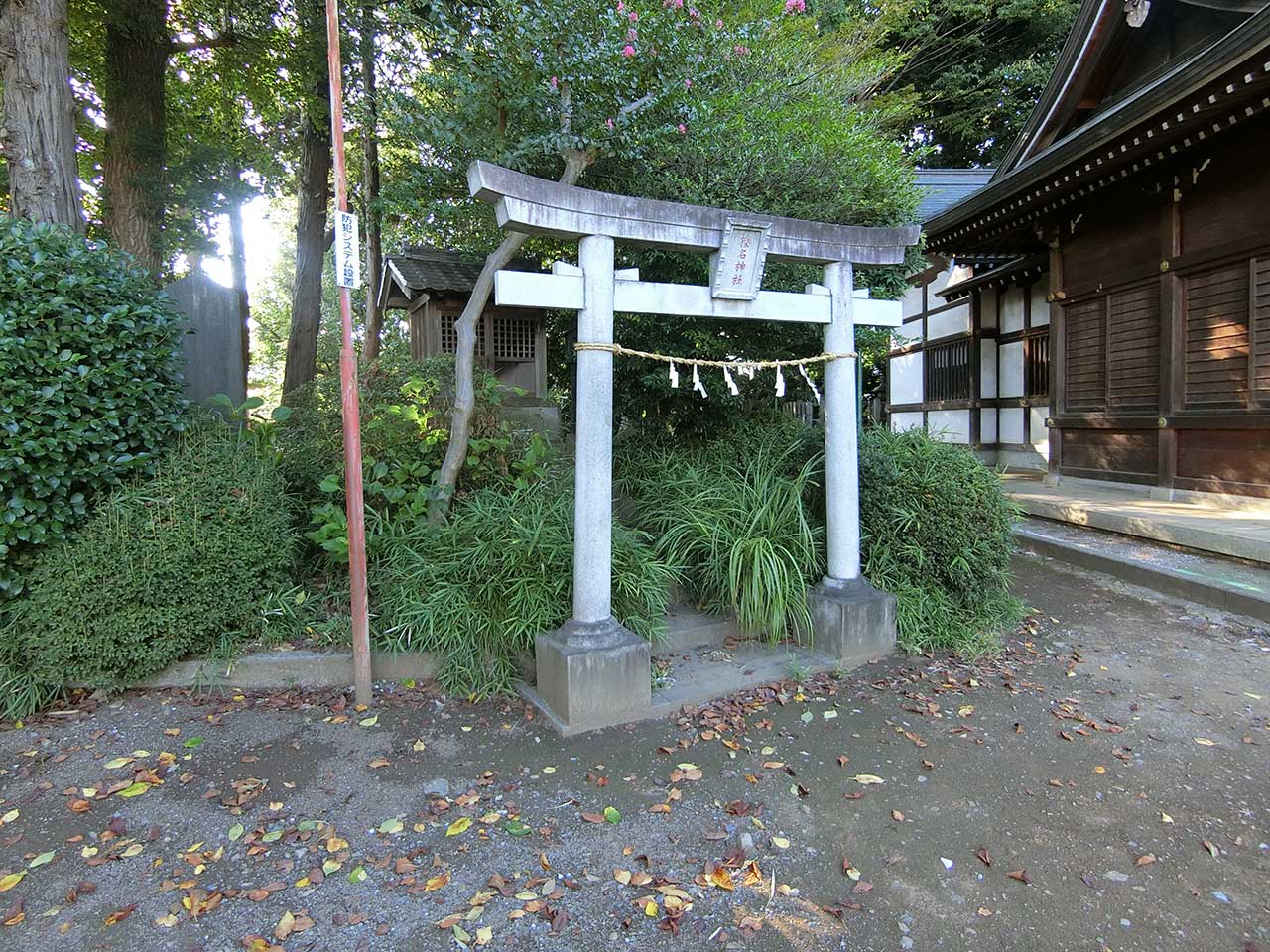 写真