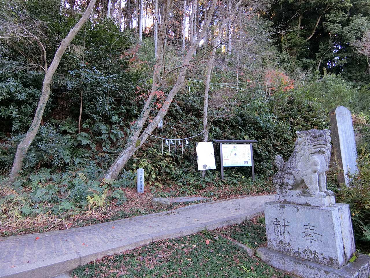 写真