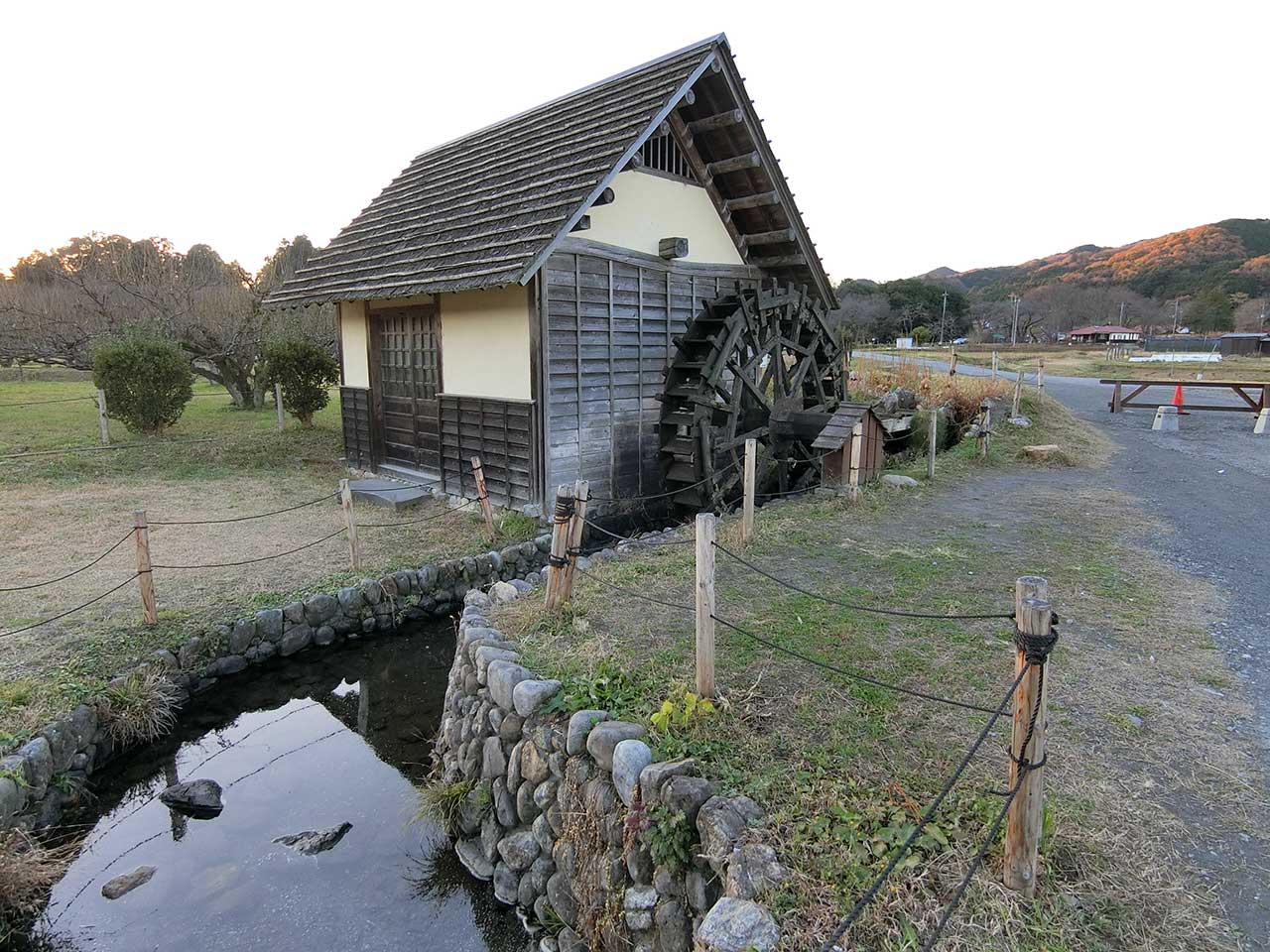 写真
