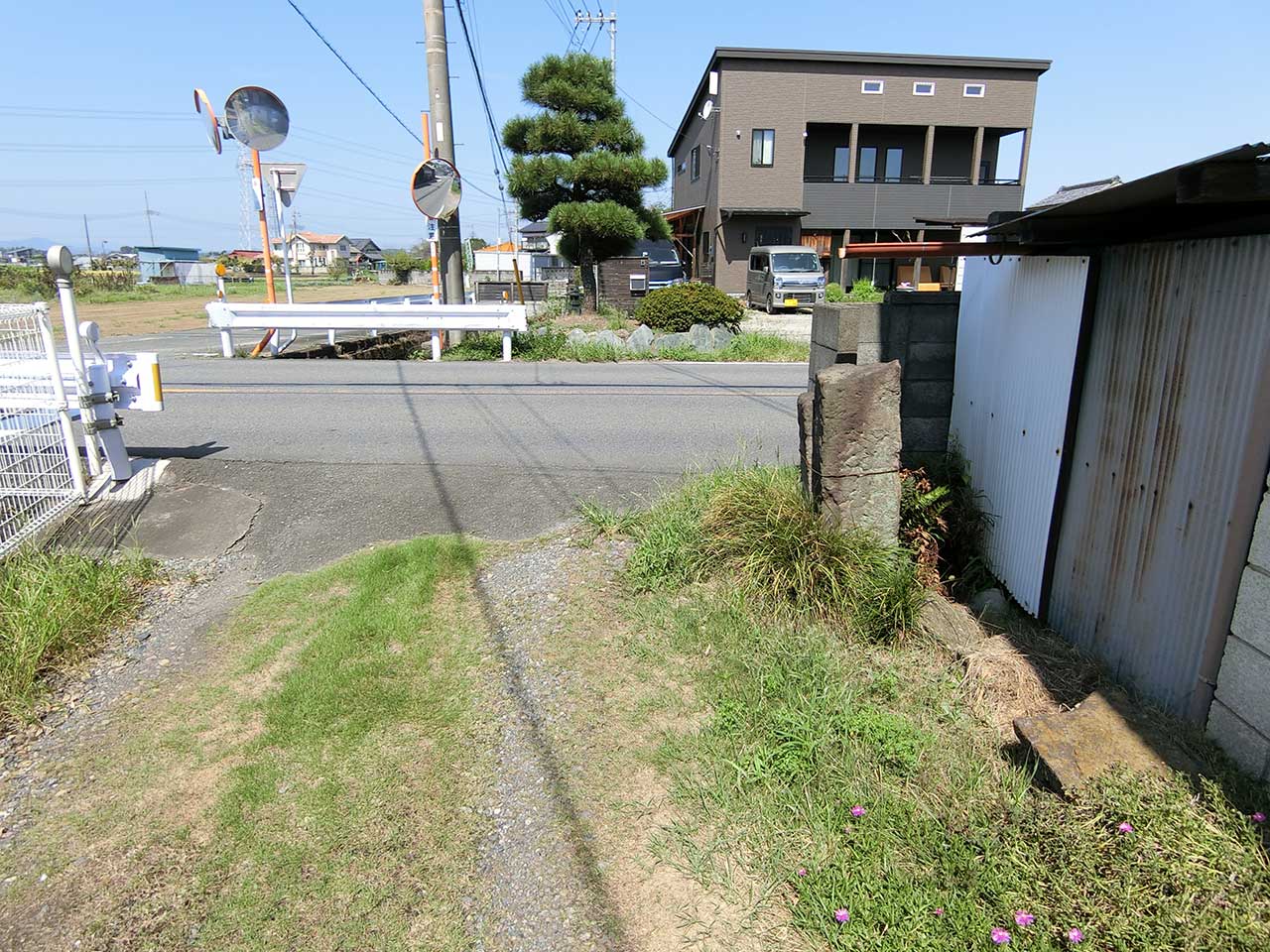 写真