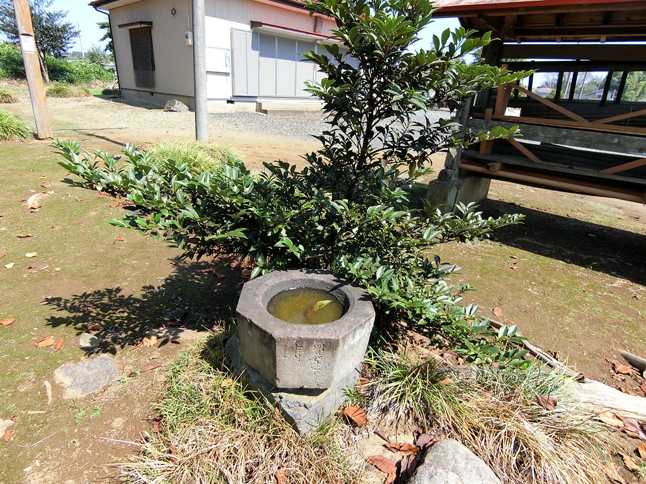 写真