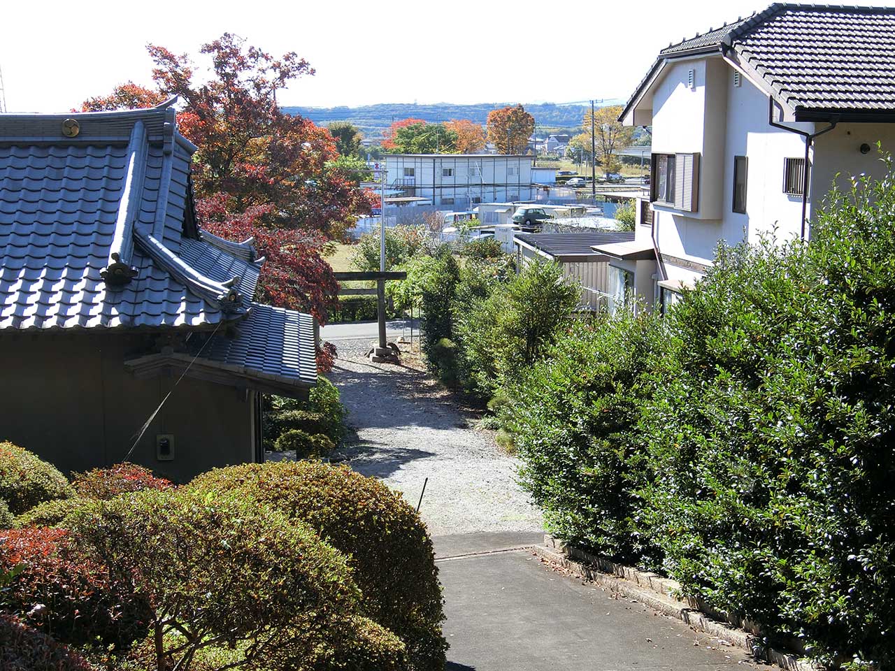 写真