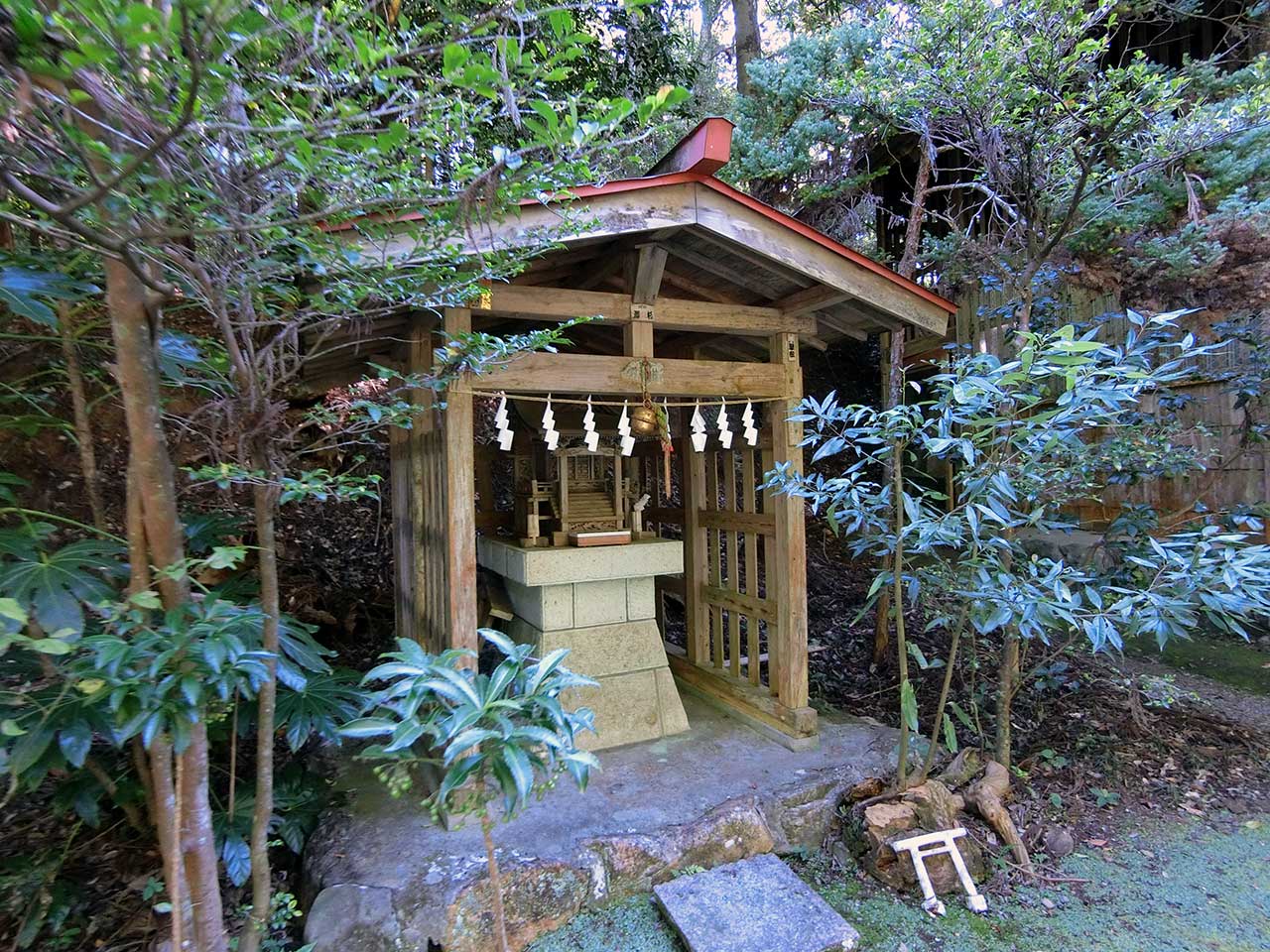 写真
