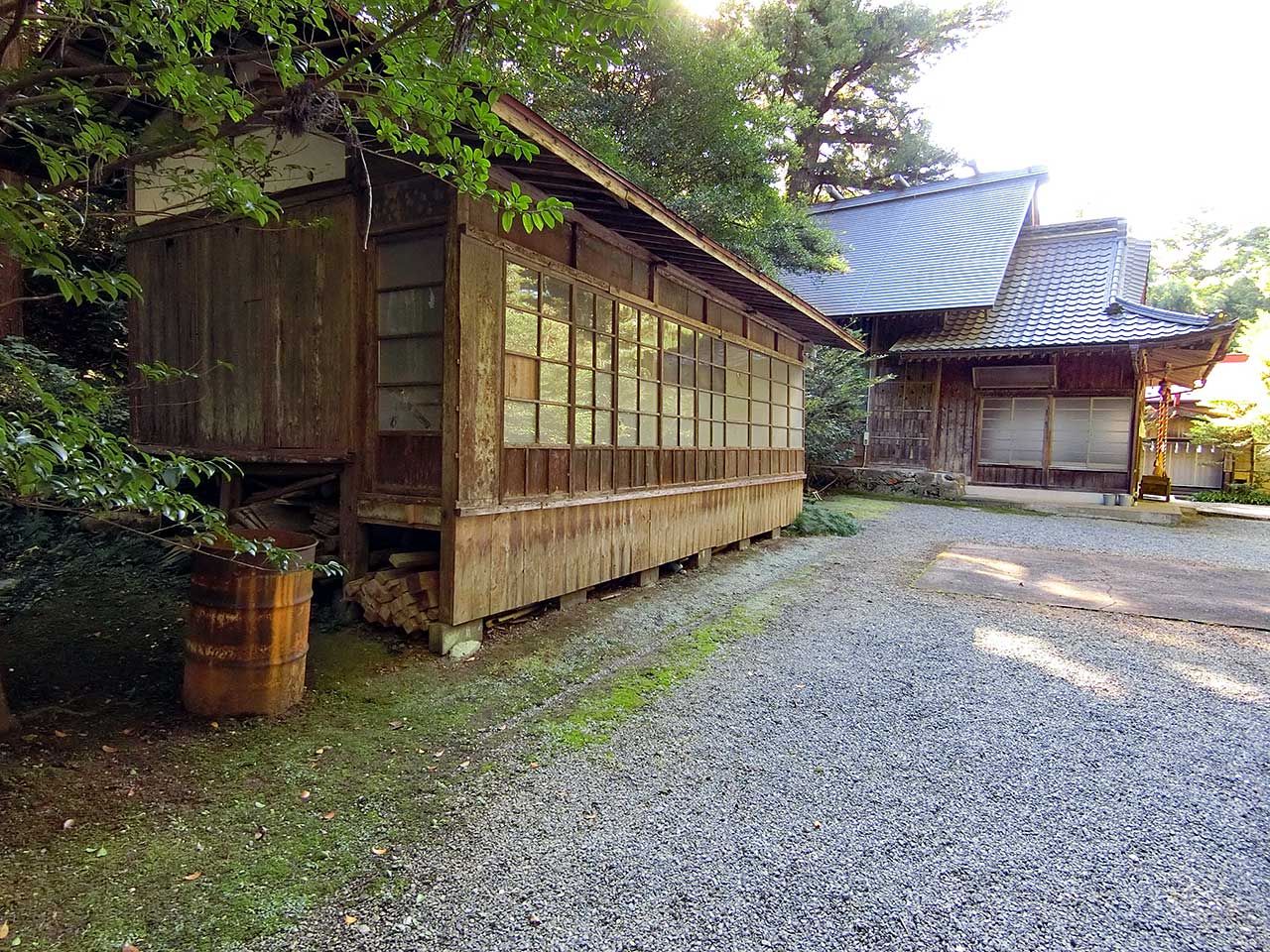 写真