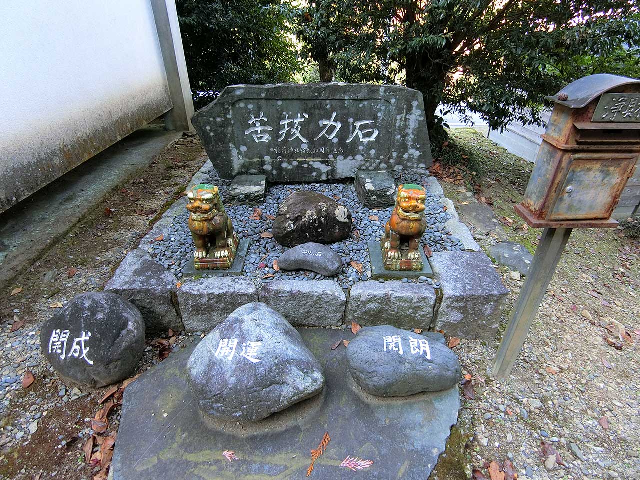 写真