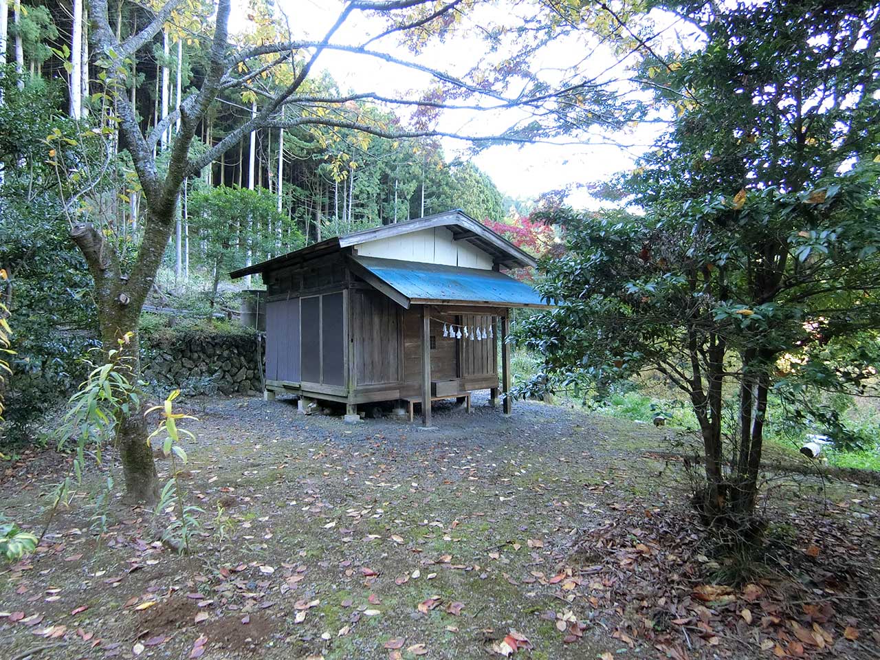 写真