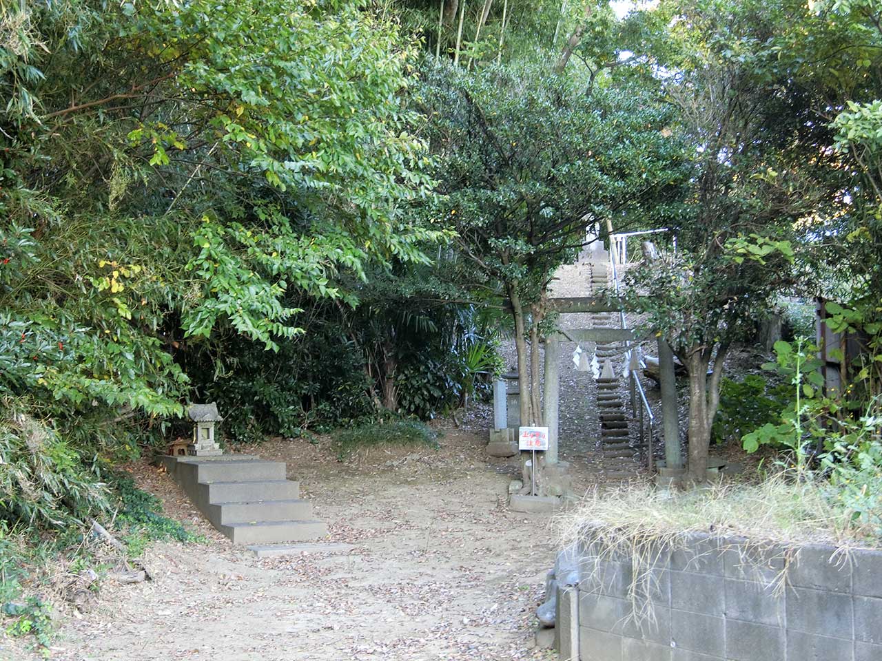 写真