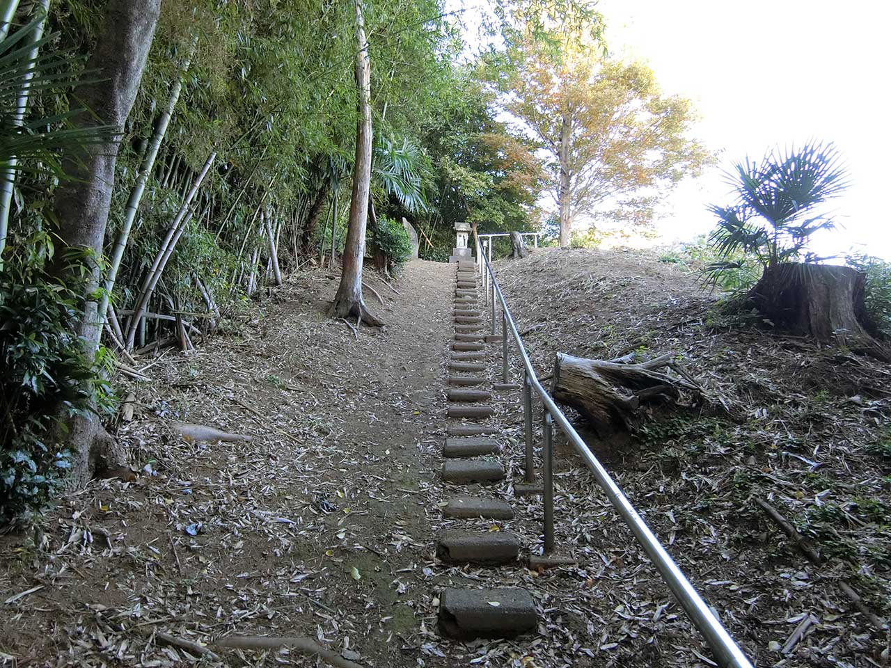 写真