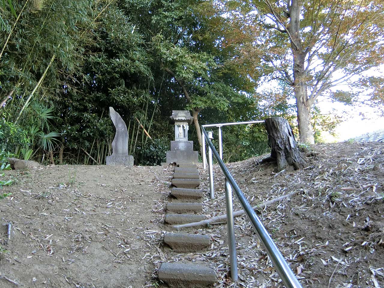 写真