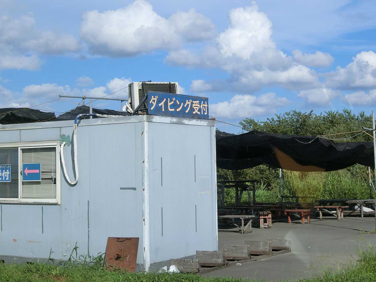 写真
