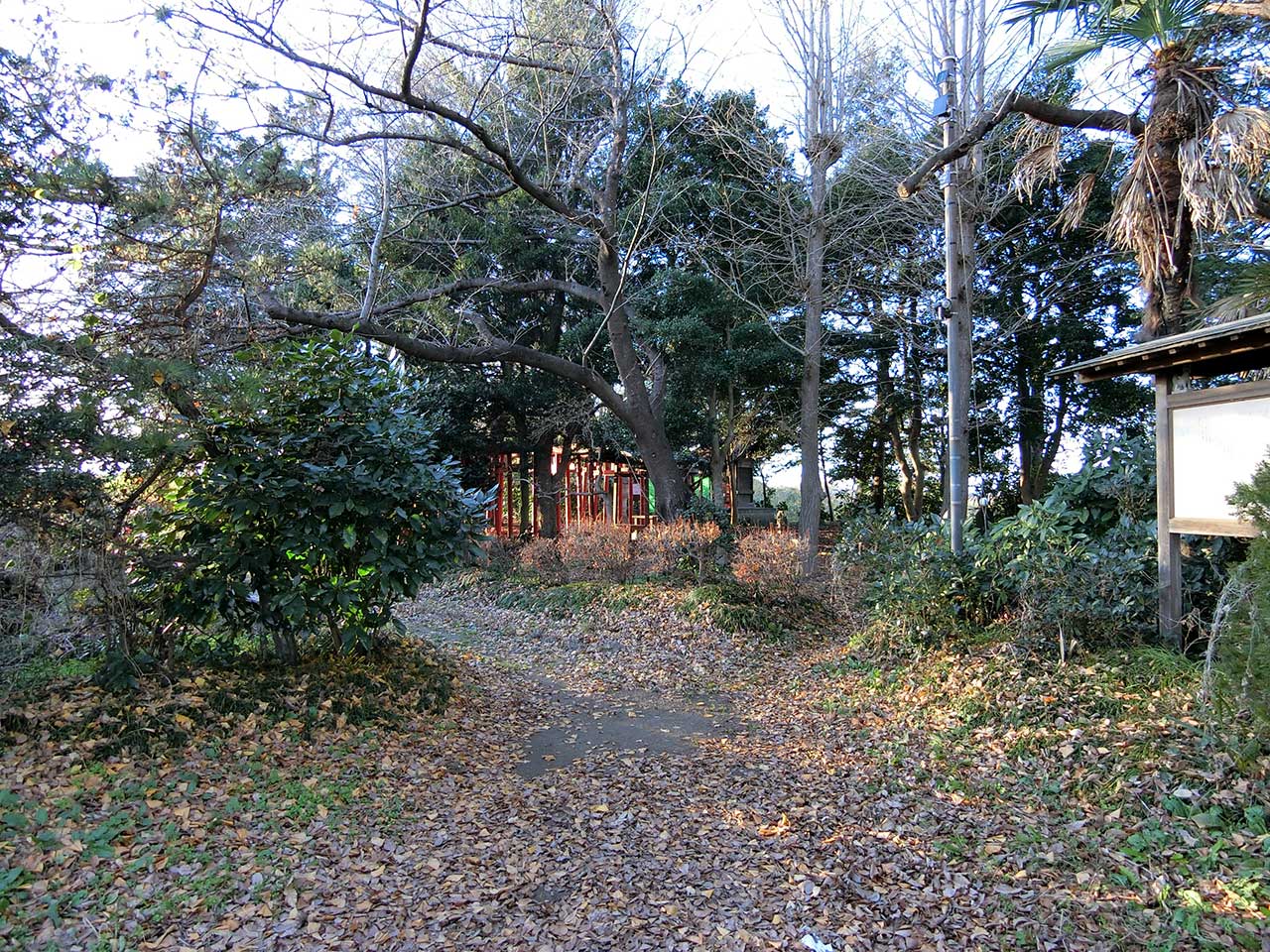 写真