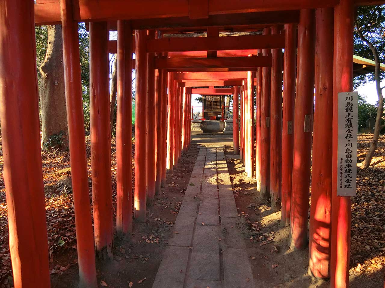 写真