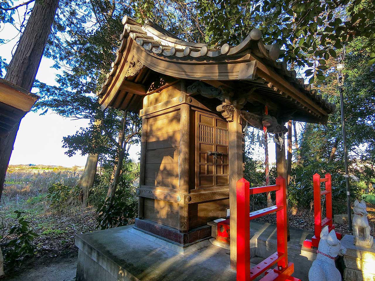 写真