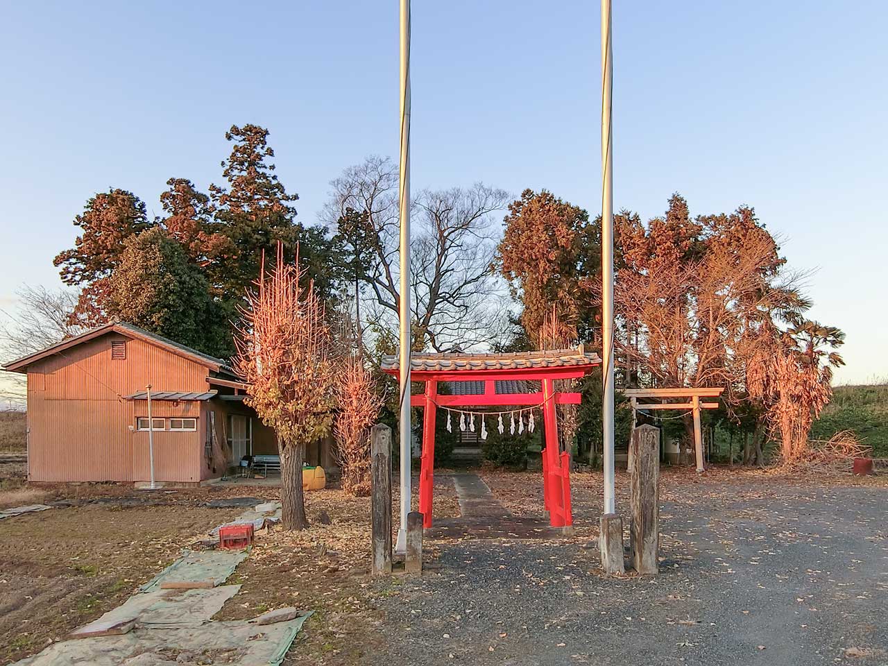 写真