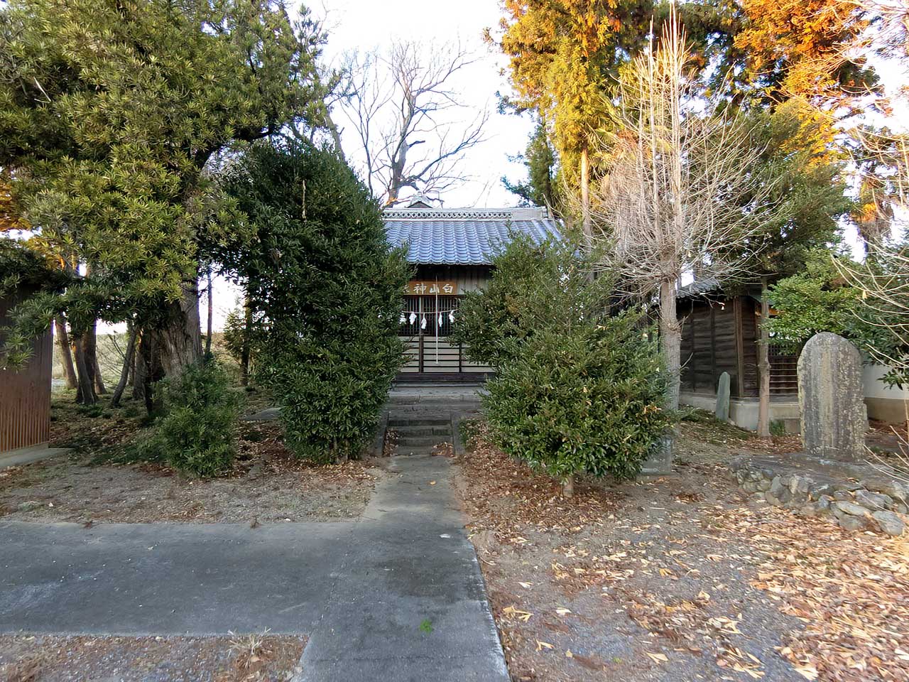 写真