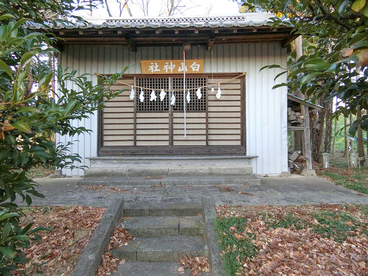 写真