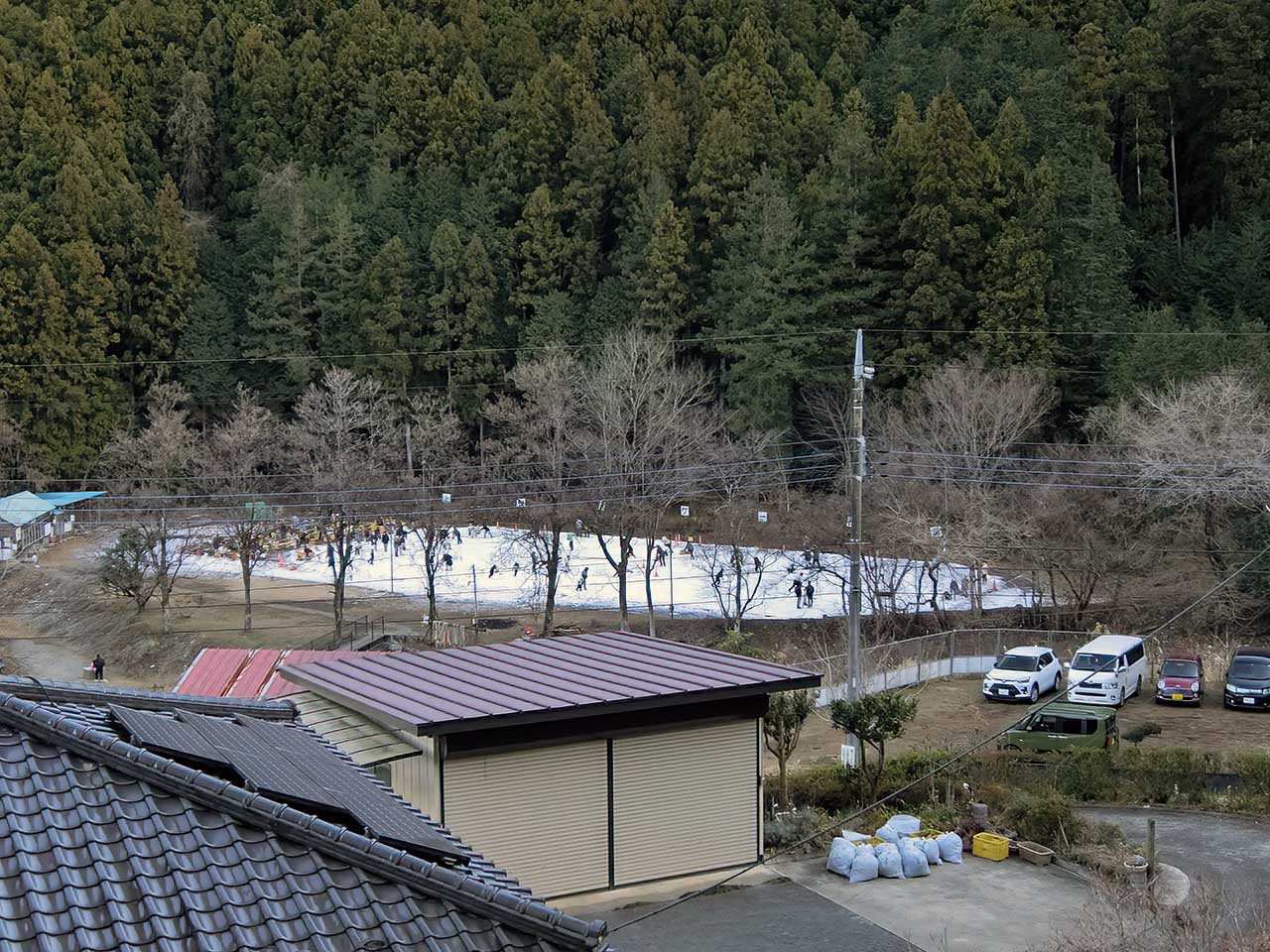 写真