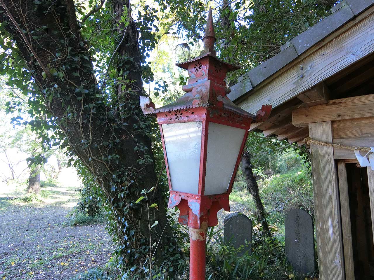 写真