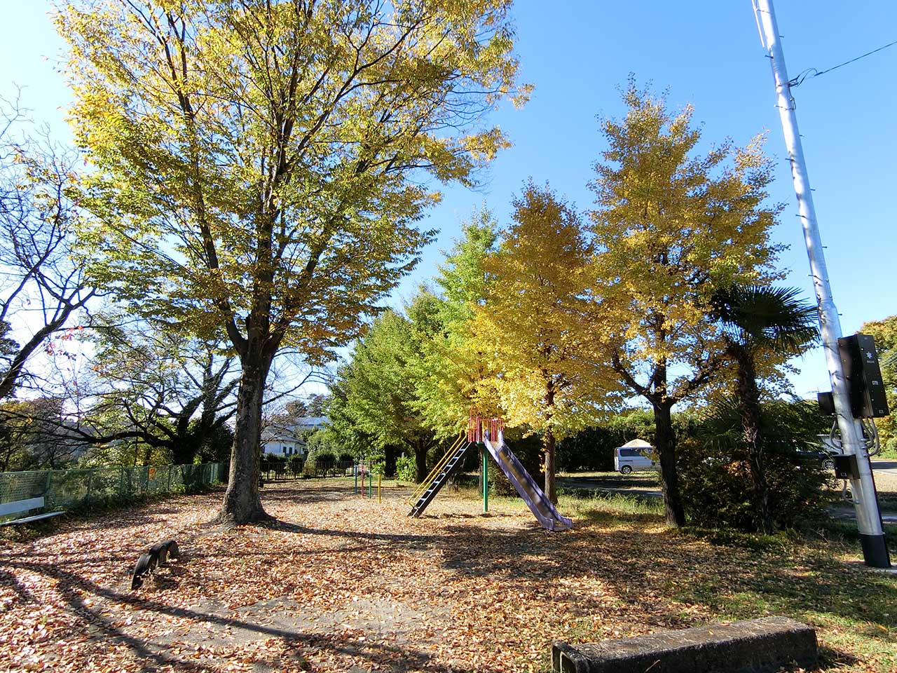 写真