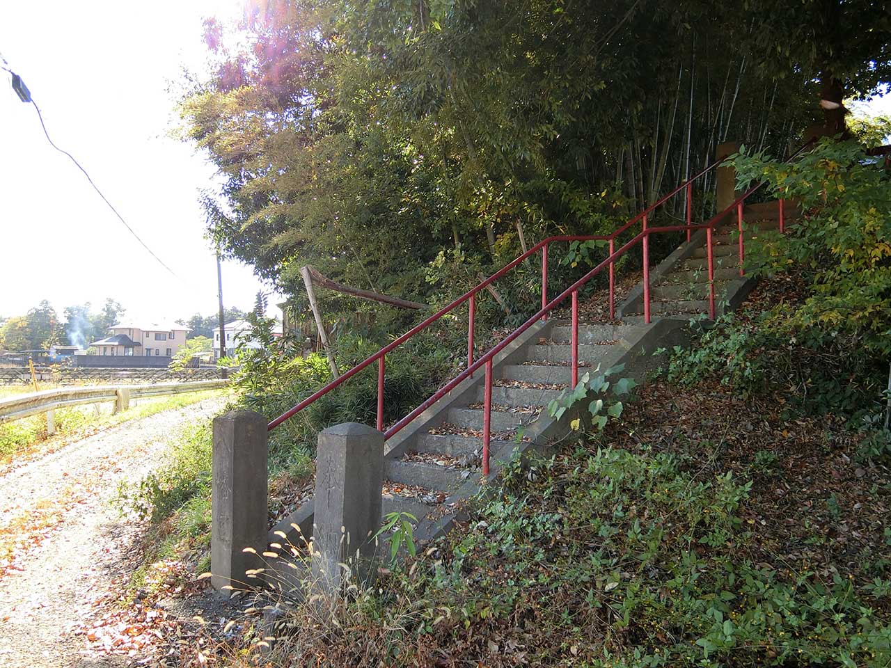写真