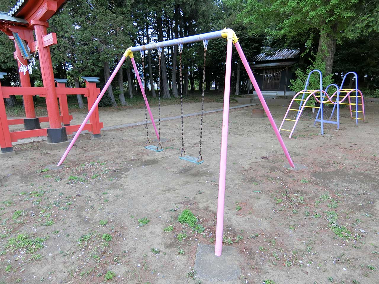 写真