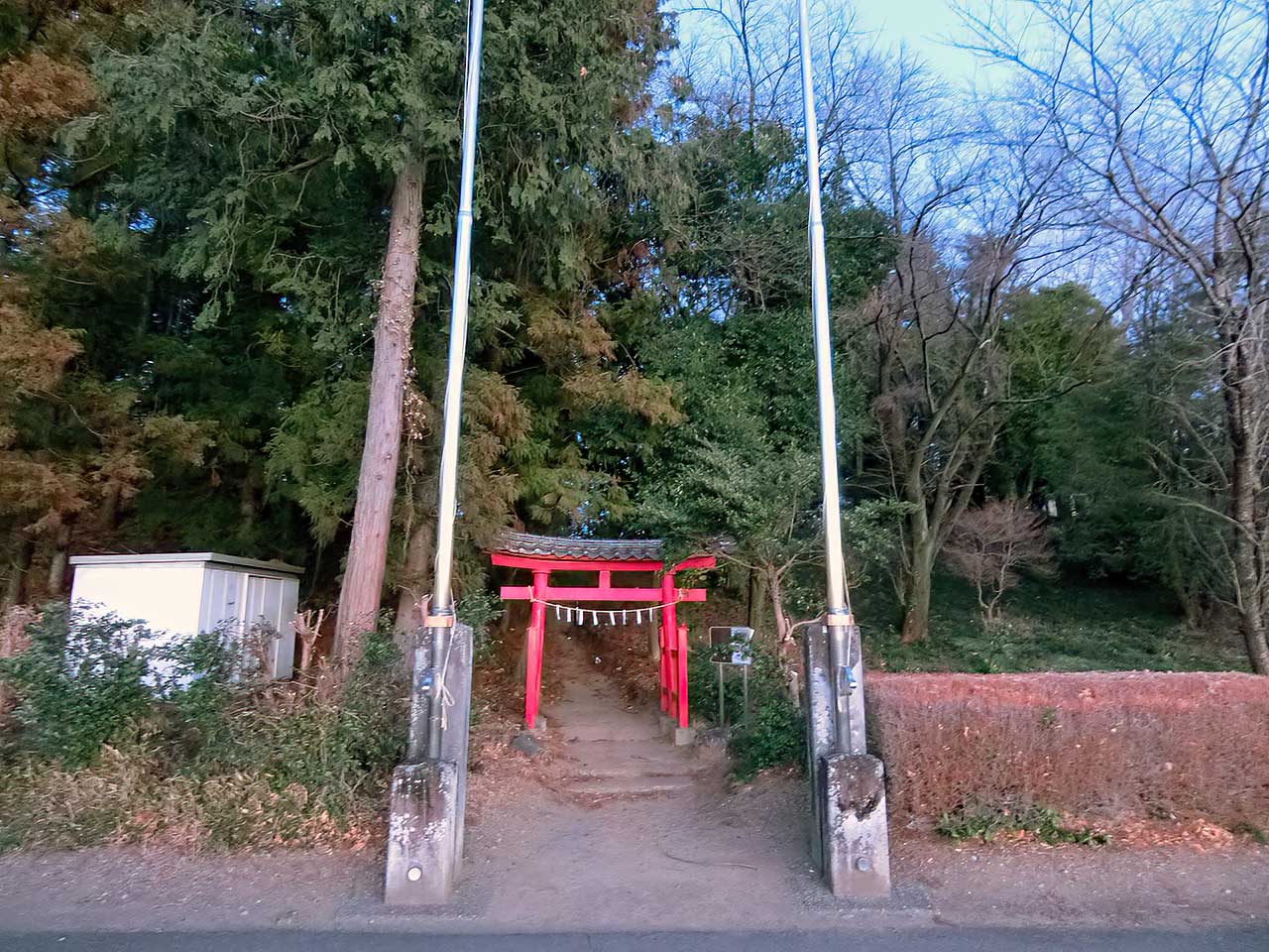 写真