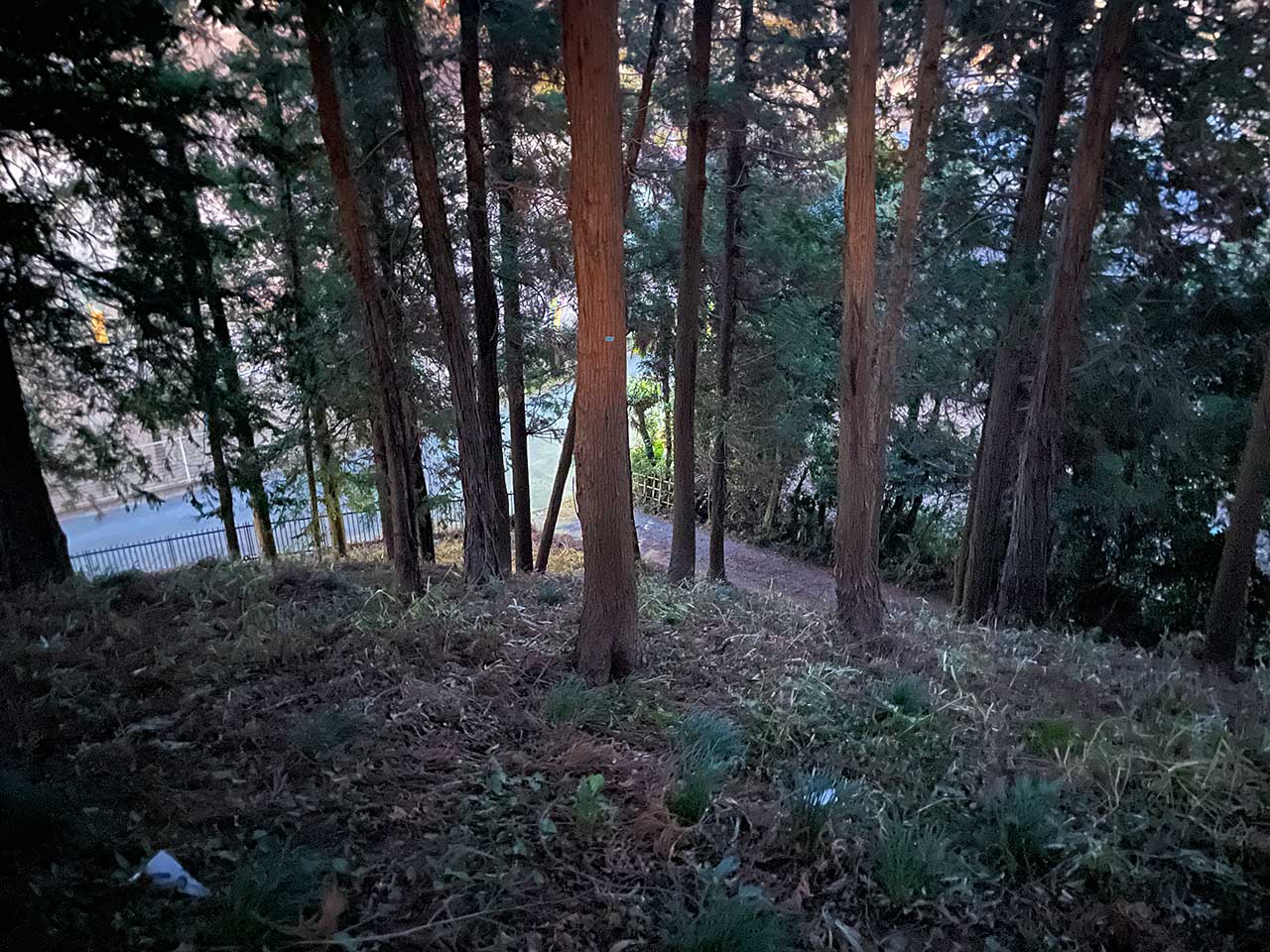 写真