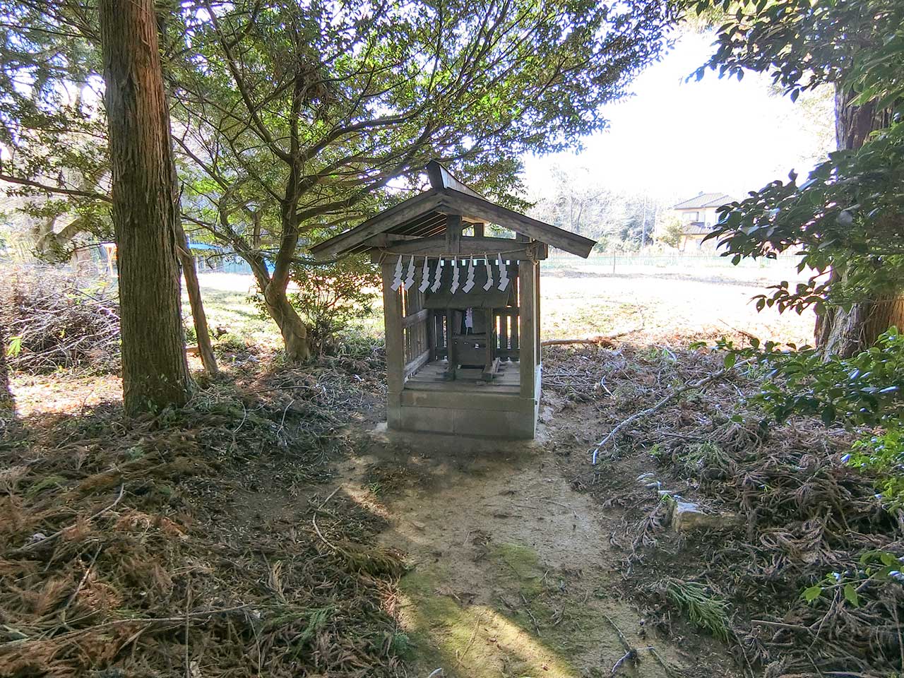 写真