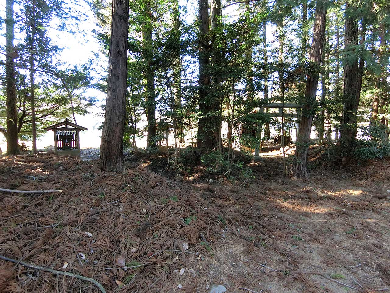 写真