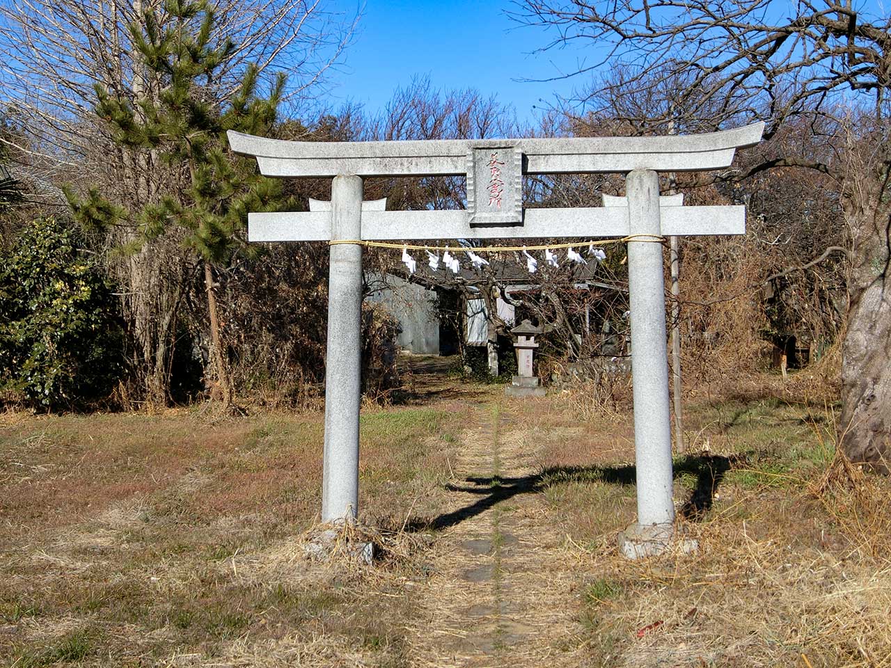 写真
