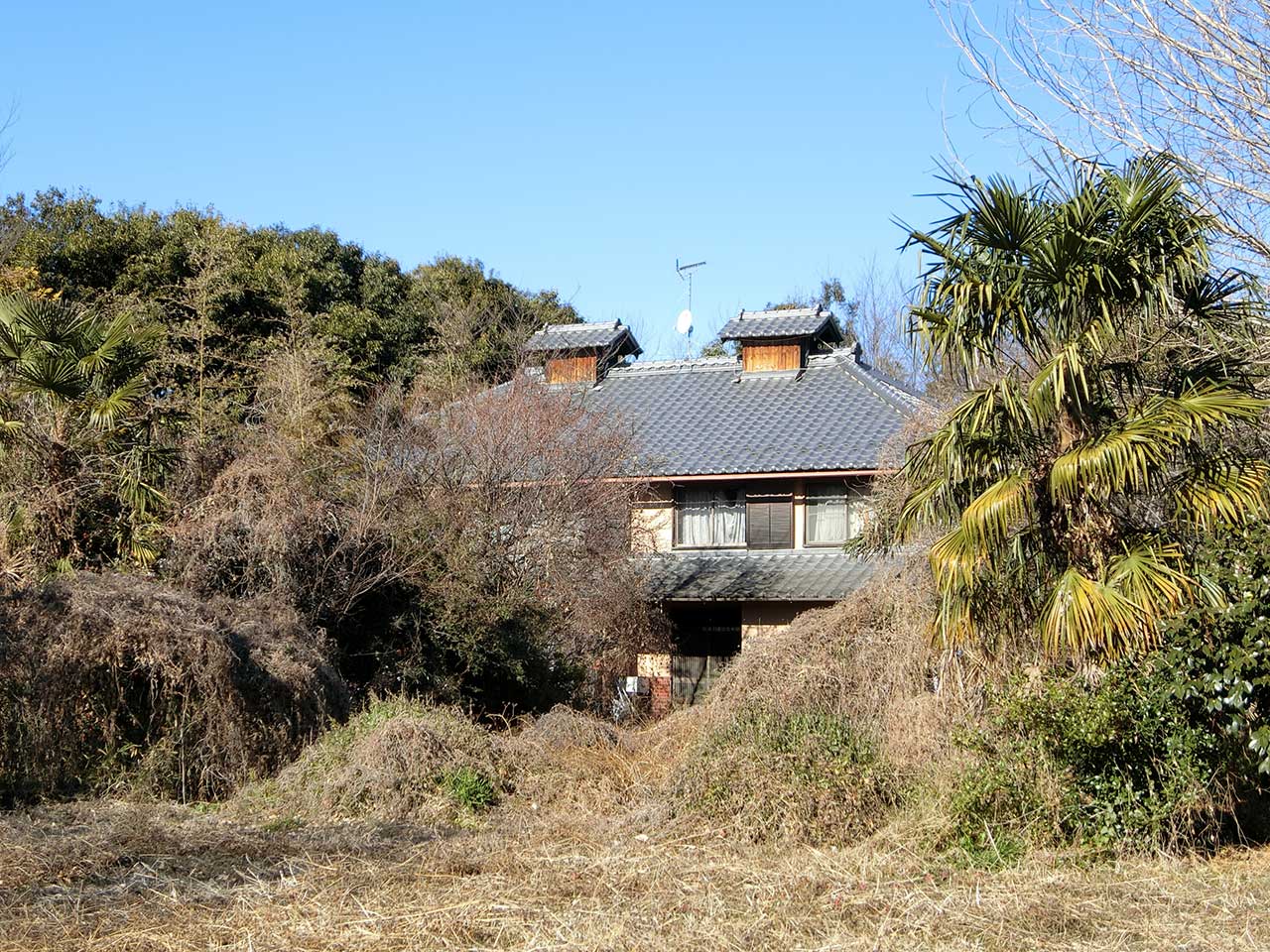 写真