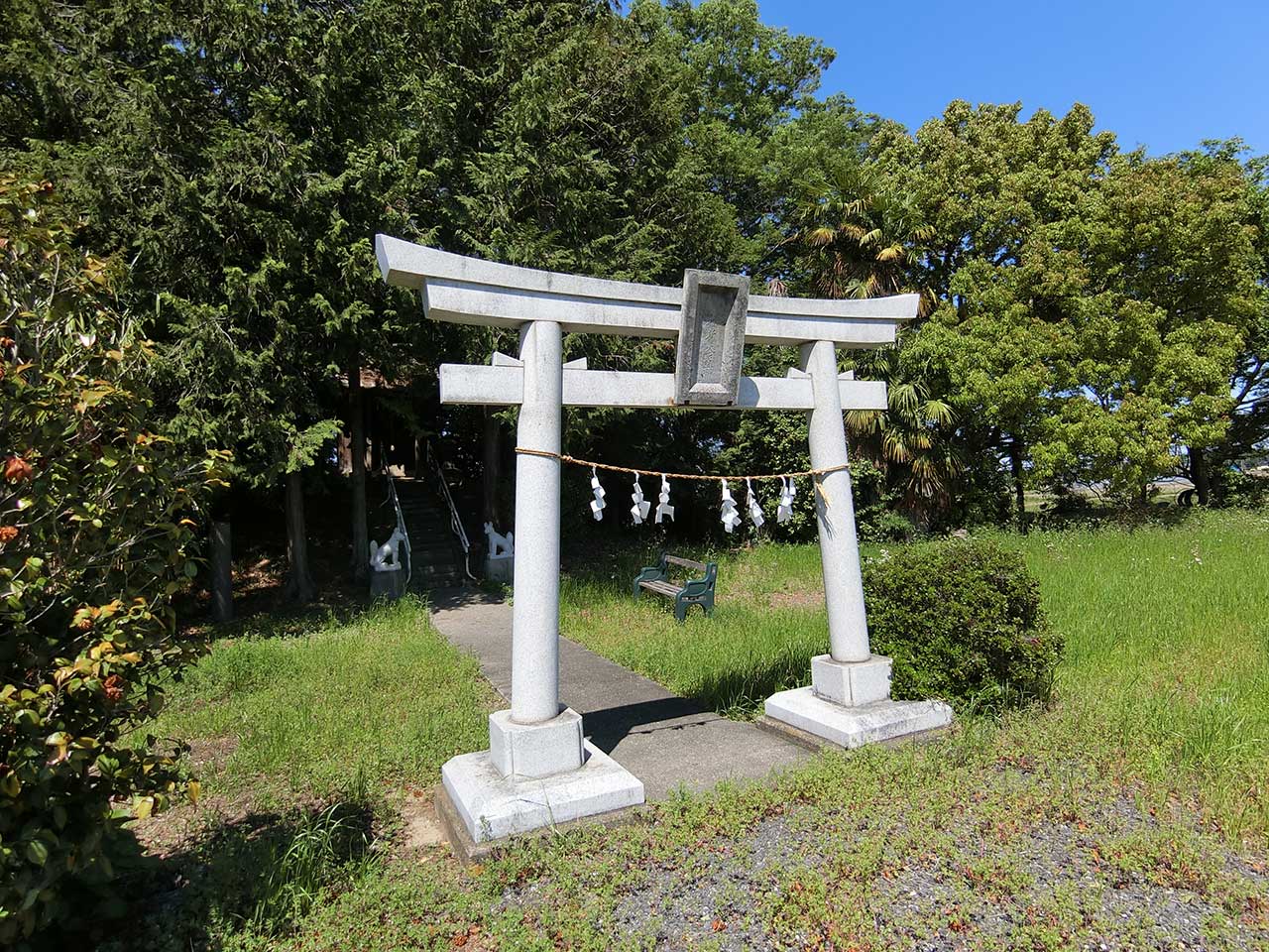 写真