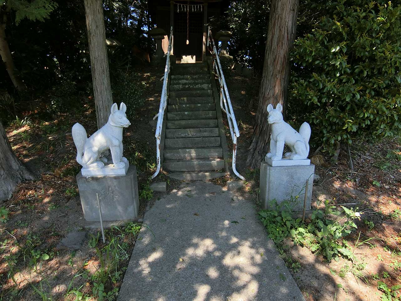写真