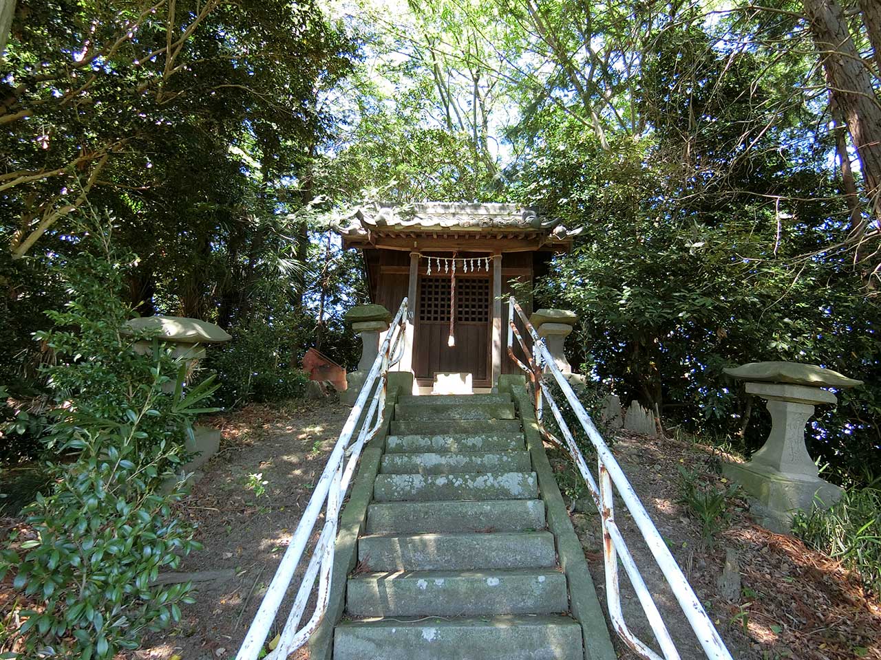 写真