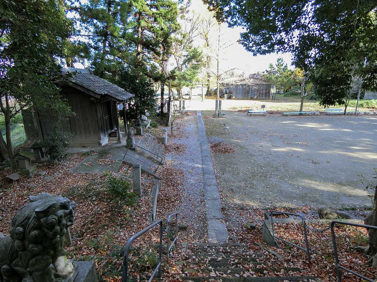 写真