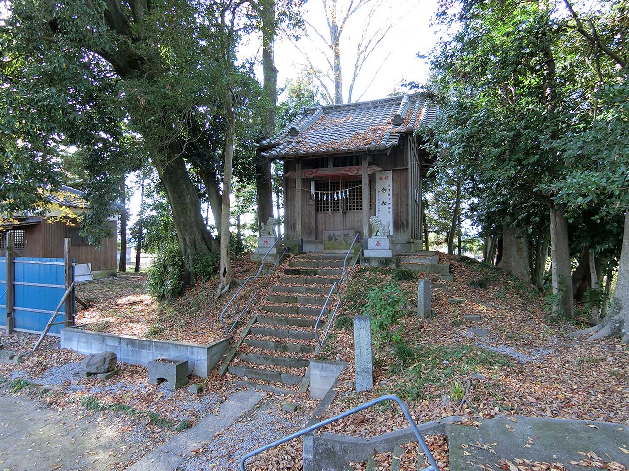 写真
