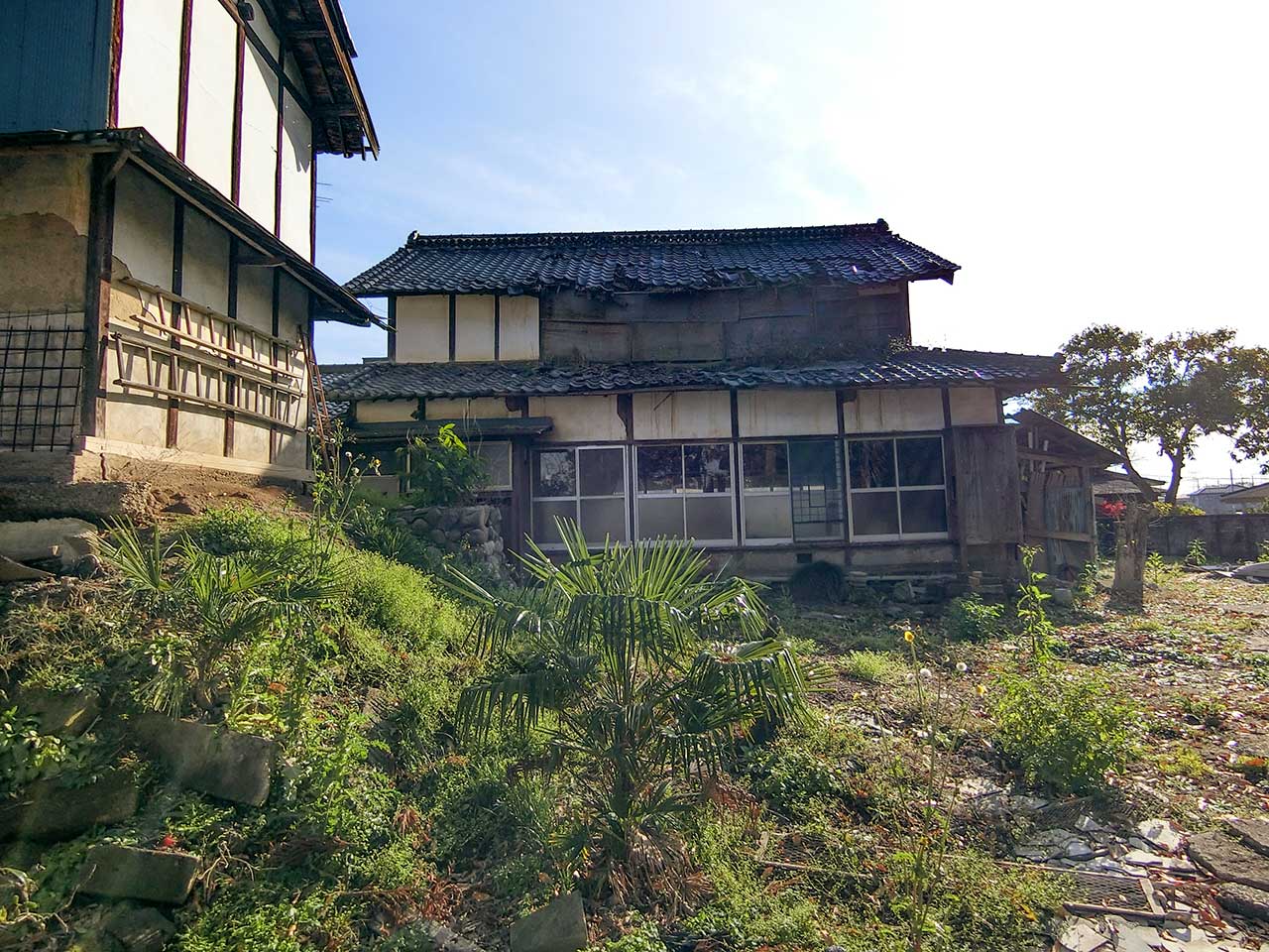 写真