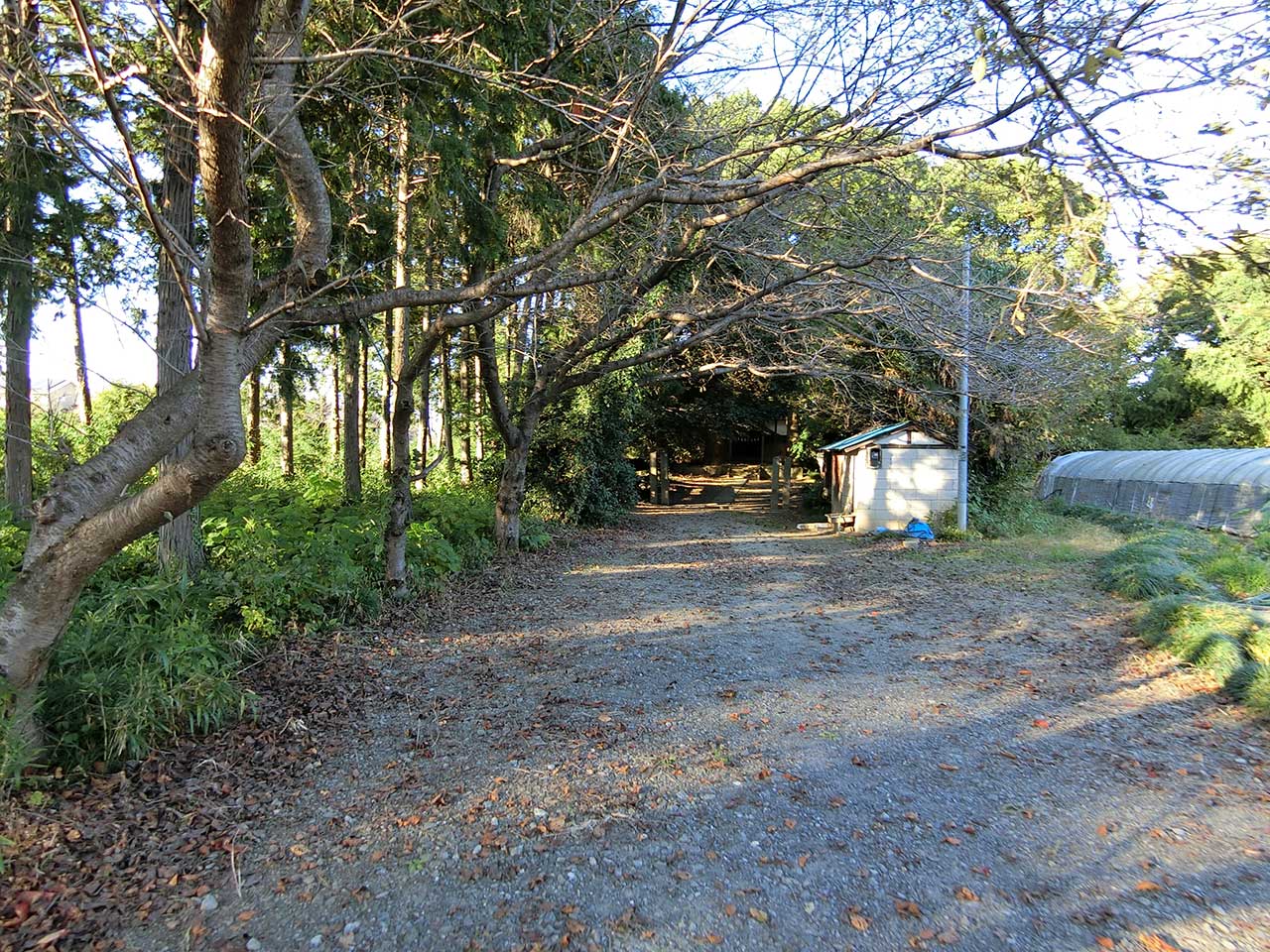 写真