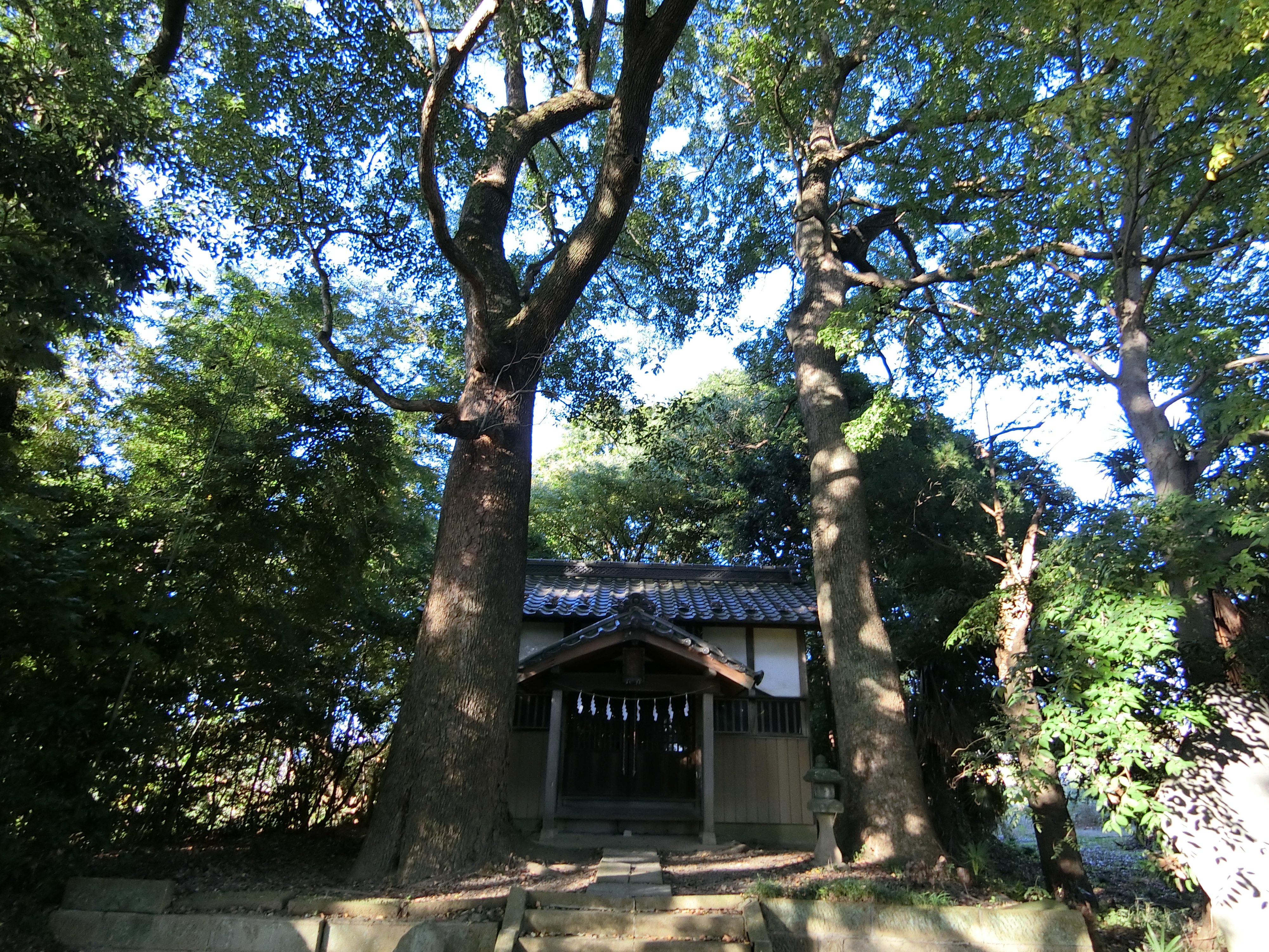 写真