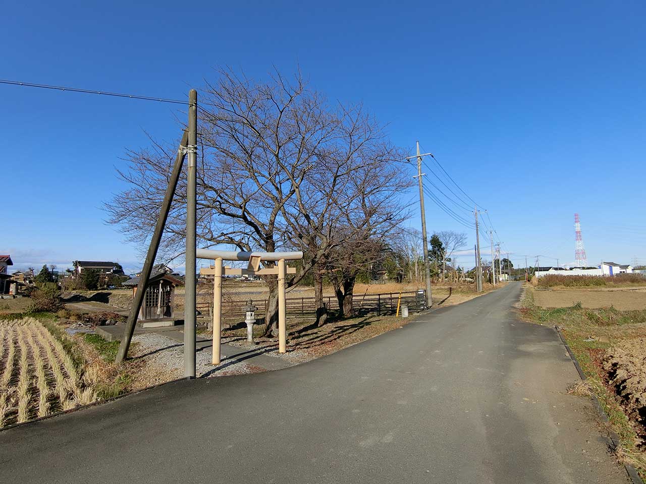 写真